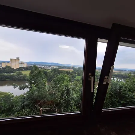Gruenes Appartement