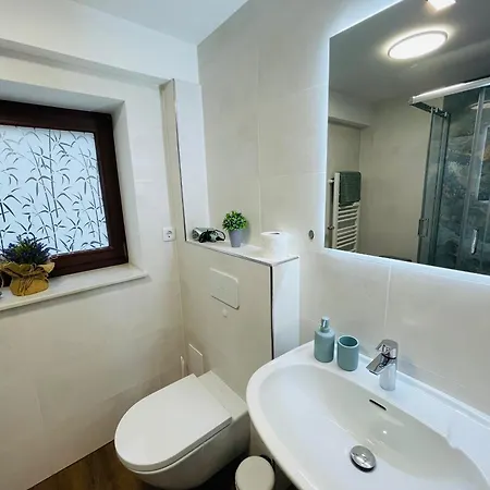 Gruenes Appartement